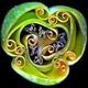 Tulip bud cross section